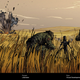 Image for article titled A Tiger In The Grass